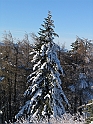 Krynica 2008 010